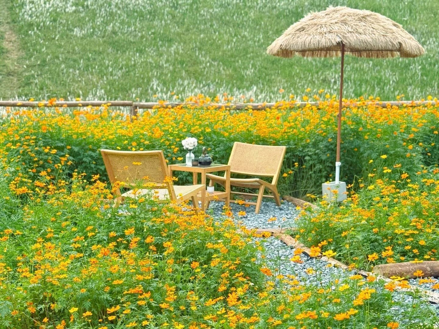 Weizhou Island cover image