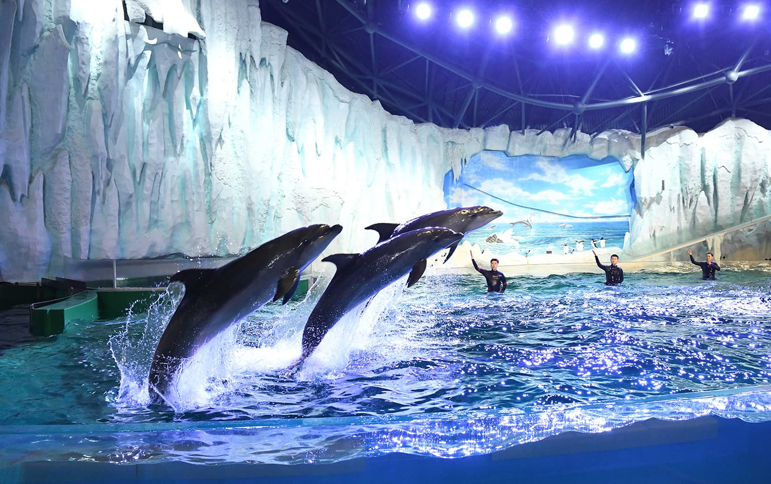 Harbin Polarland·Polarland cover image