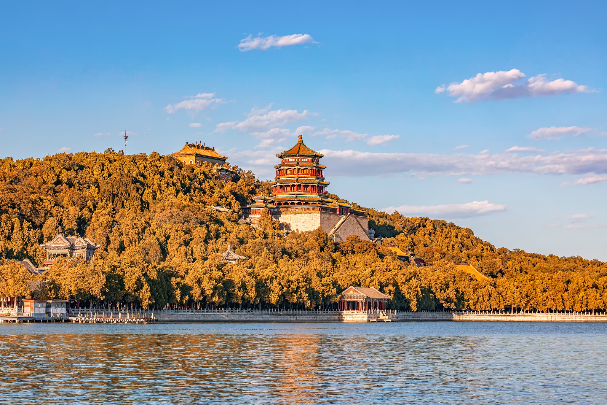 Summer Palace cover image