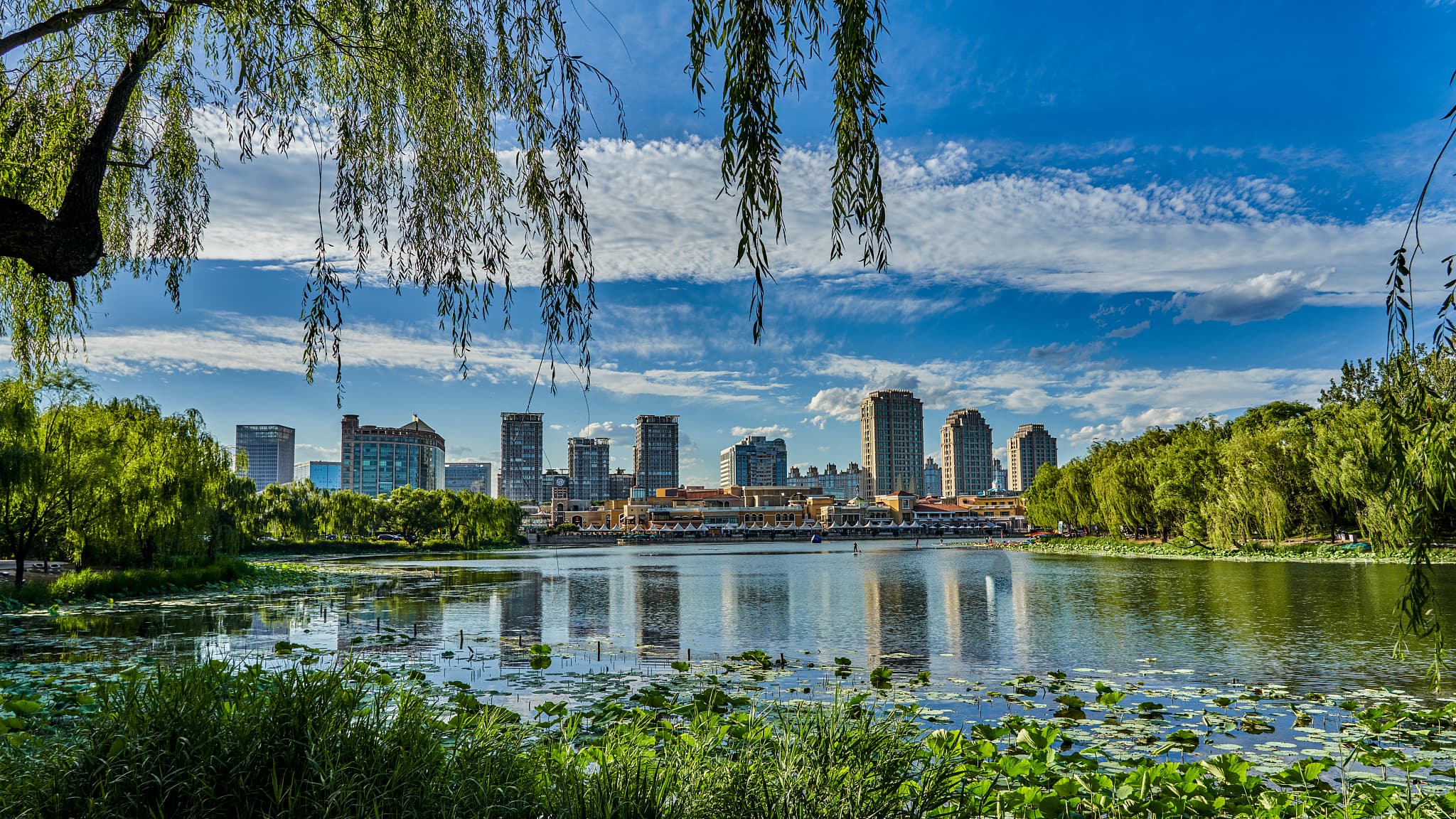 Chaoyang Park