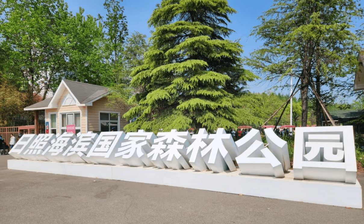 Rizhao Coastal National Forest Park cover image