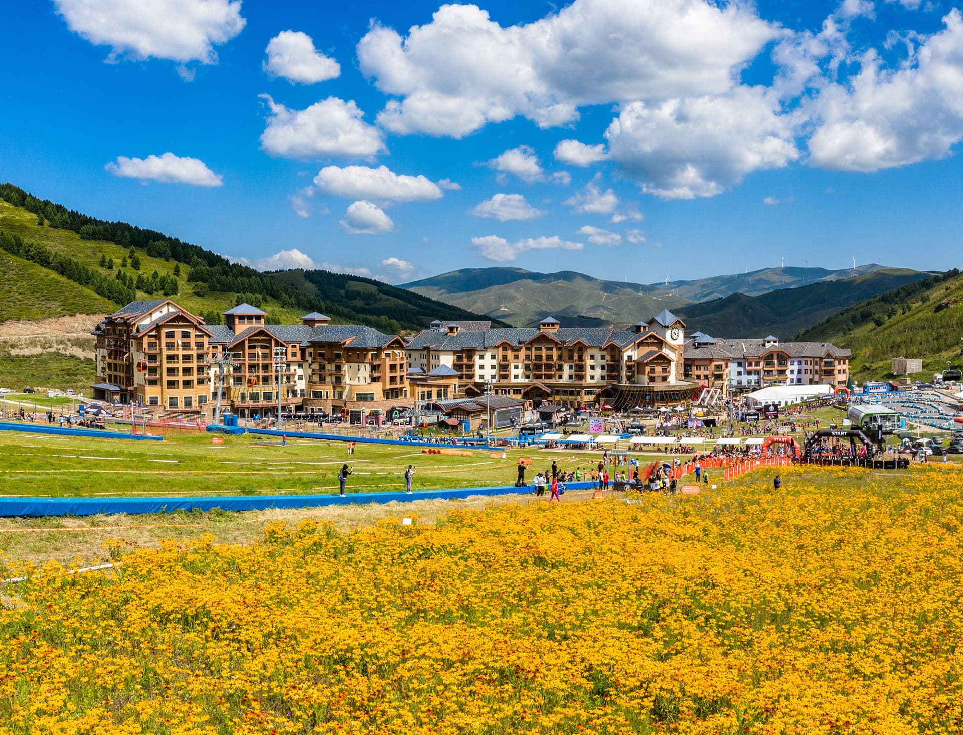 Thaiwoo resort village in summer, with hotels below green slopes and yellow flowers.